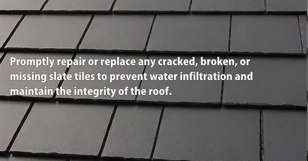 Slate Shingles